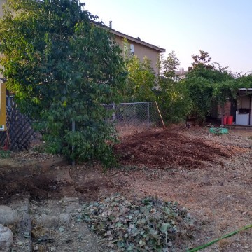 American Tree Company Apple Valley Ca Tree Stump Removal Image After Stumps Removed