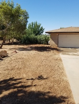 American Tree Company Apple Valley Ca Complete Stump Removal 