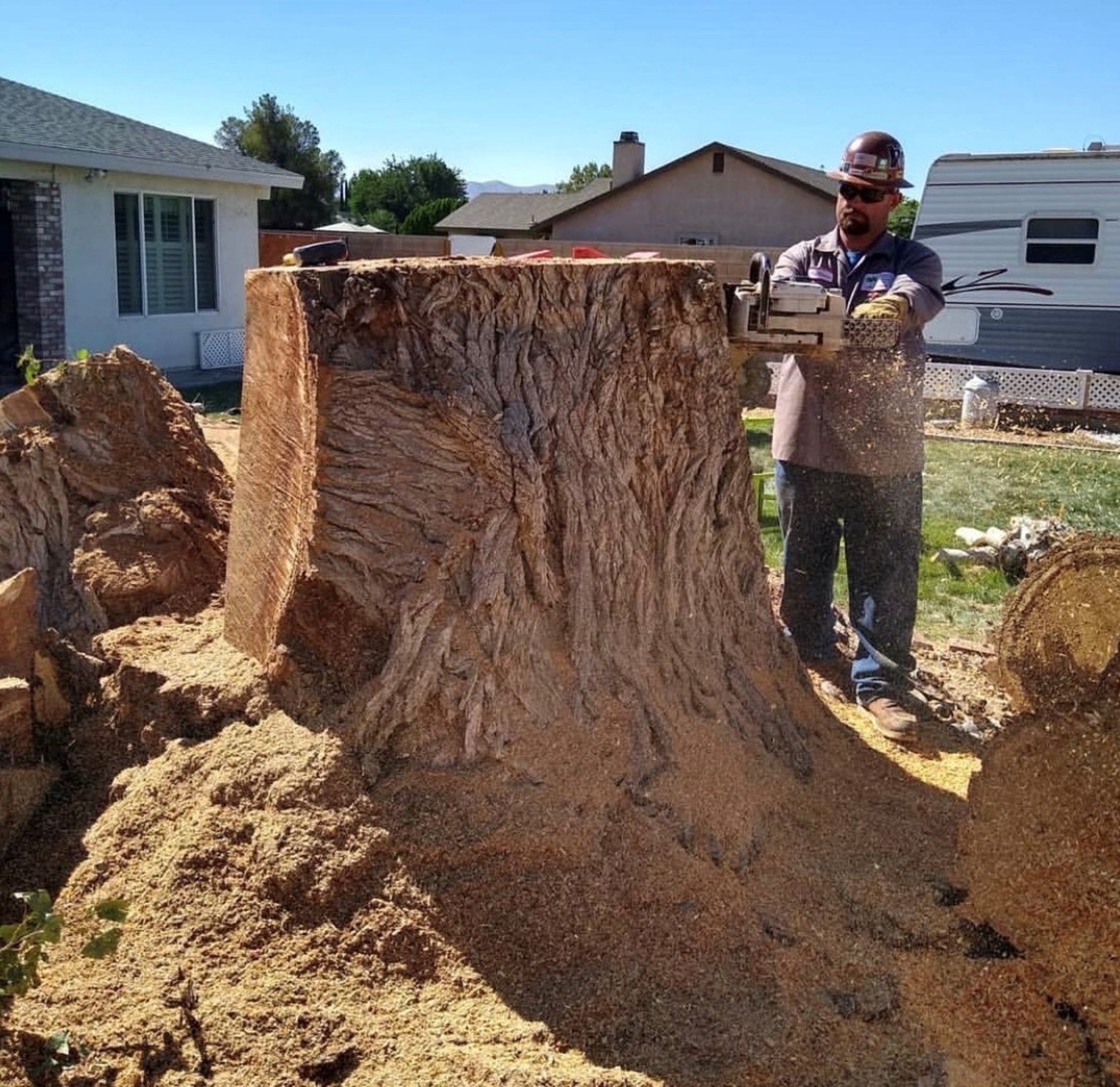 Stump Removal After Tree Removal Very Large Stump