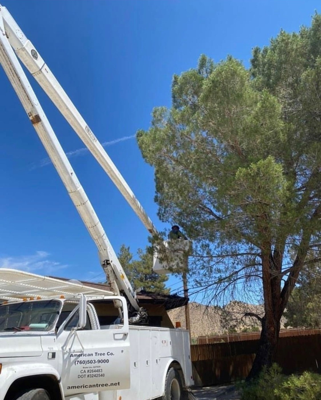 American Tree Boom Truck