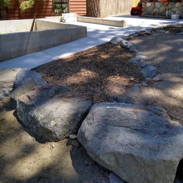 American Tree Company Apple Valley Ca Stump Removal