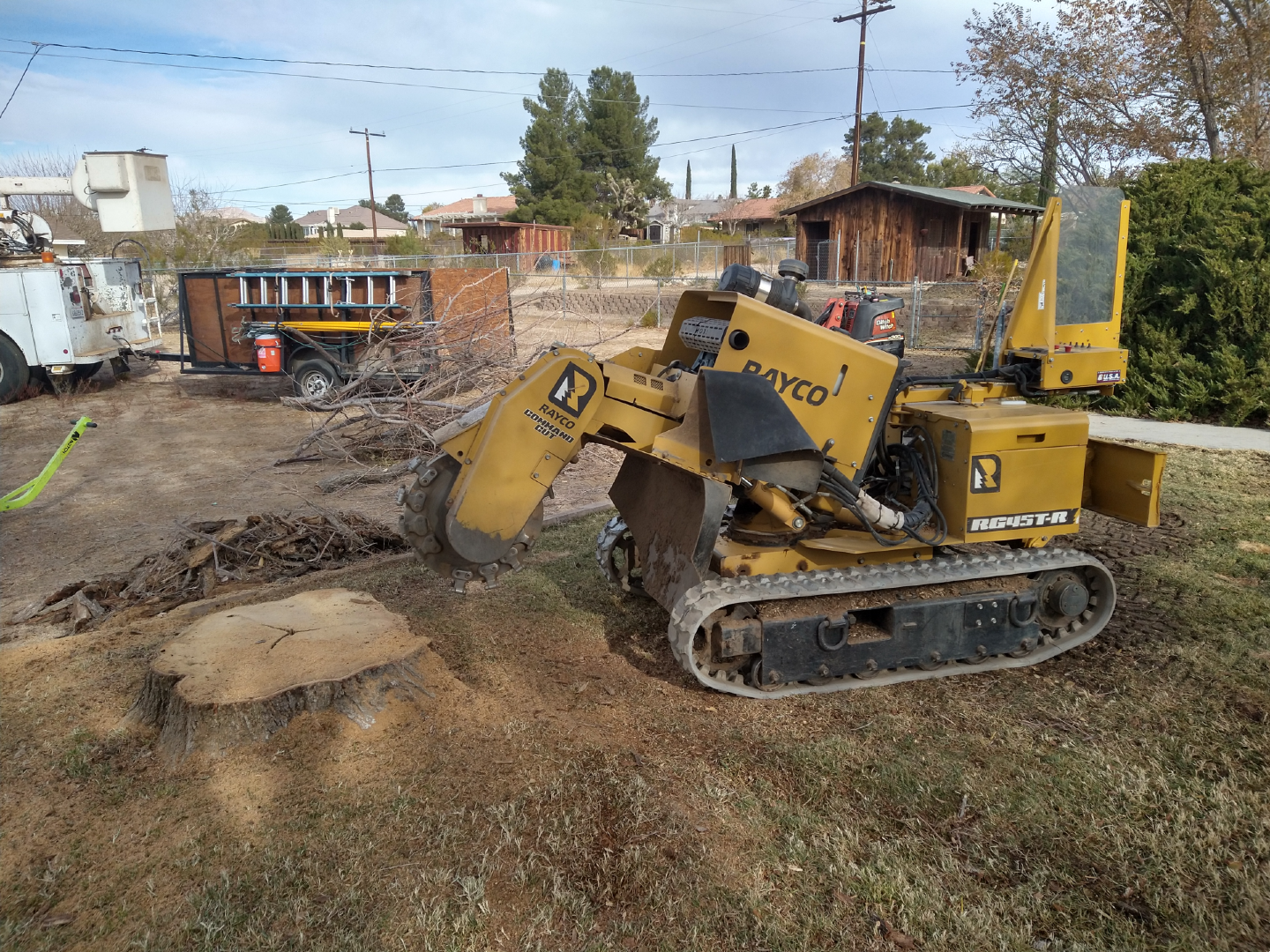 Very Large Stump Removal Using Remote Controlled Stump Grinder