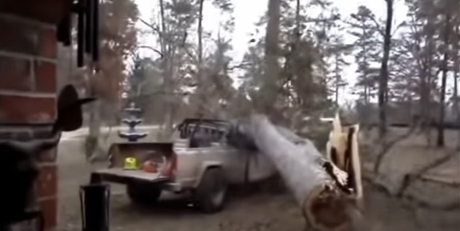 Tree Removal Goes Wrong, Entire Tree Lands On The Tree Cutters Truck.