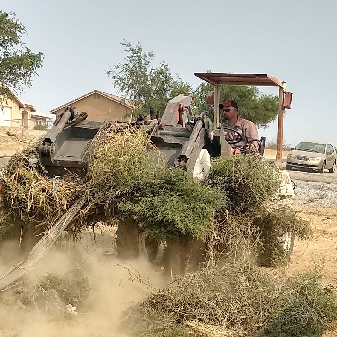 Grubbing Weeds And Bushes From Large Land Parcel Using A Clamp Bucket