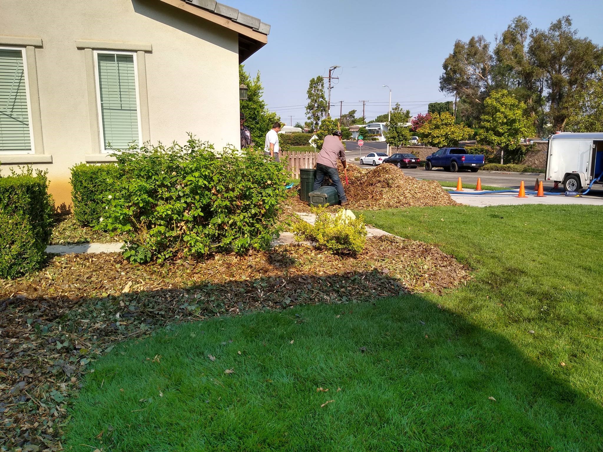 American Tree Company Apple Valley Ca Free Mulch Delivered. We Will Also Install At Our Regular Hourly Rates