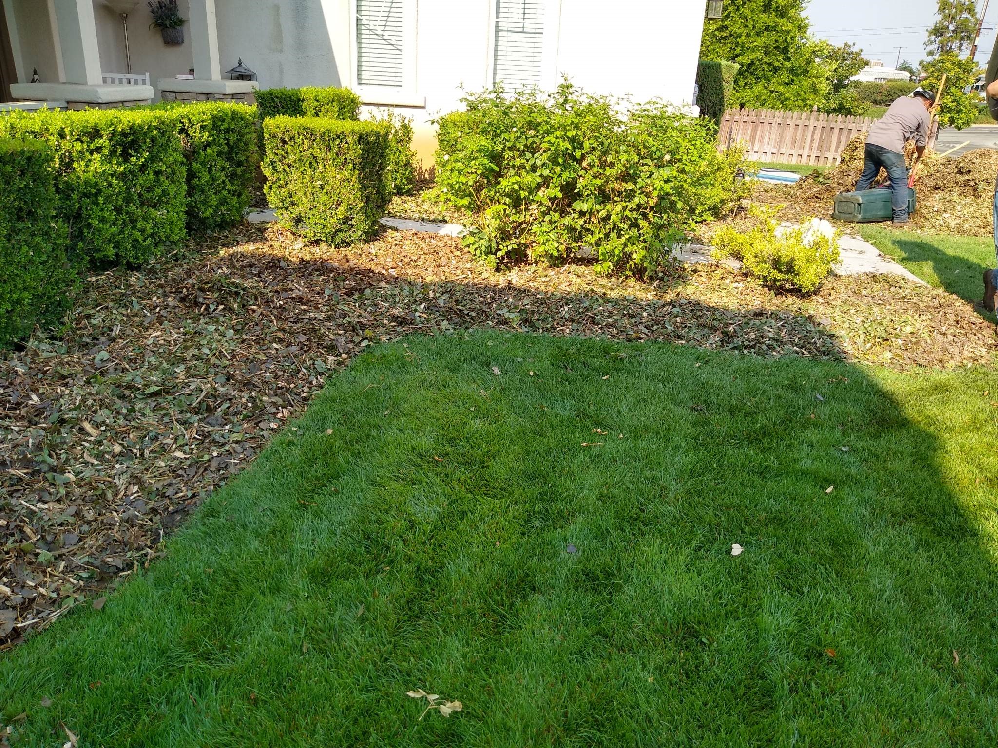 American Tree Company Apple Valley Ca Mulch Installation 
