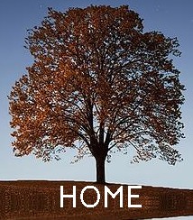 Picture of a tree with home written across the bottom so visitors will know how to get back to the home page
